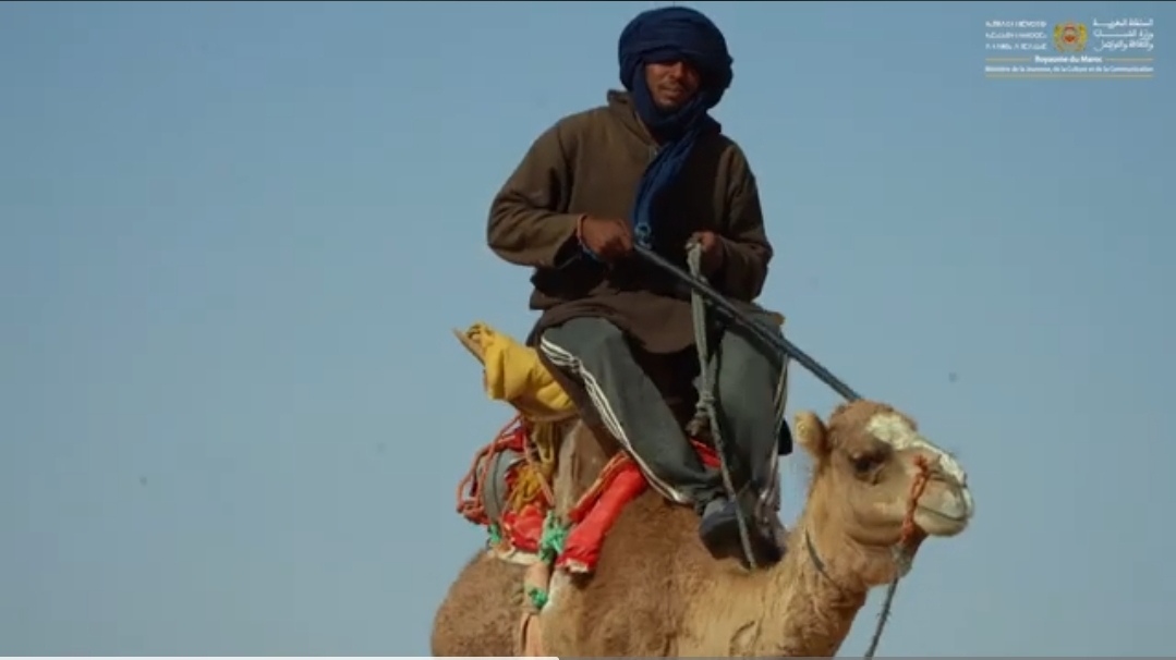 تقاليد تربية الابل